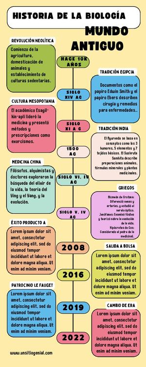Infografía Línea Del Tiempo Timeline Historia Moderno Creativo Multicolor (1)