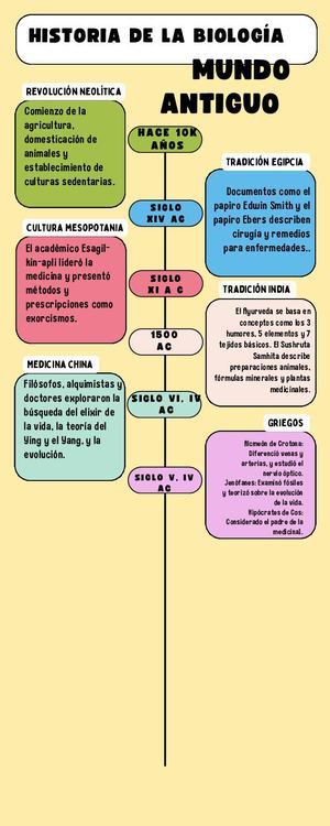 Infografía Línea Del Tiempo Timeline Historia Moderno Creativo Multicolor (2)