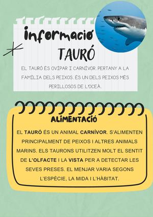 TAURÓ