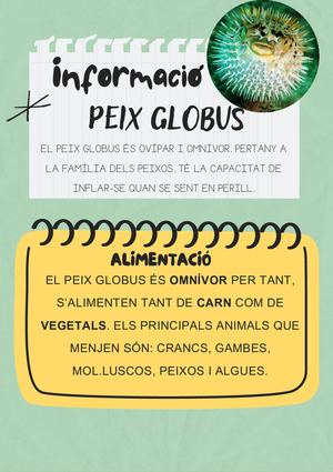 PEIX GLOBUS