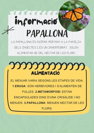 PAPALLONA