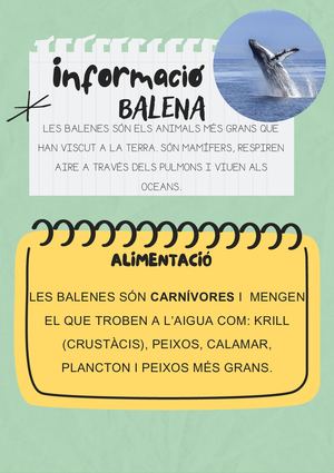 BALENA