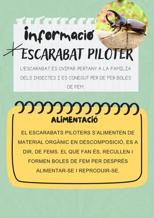 ESCARABAT PILOTER