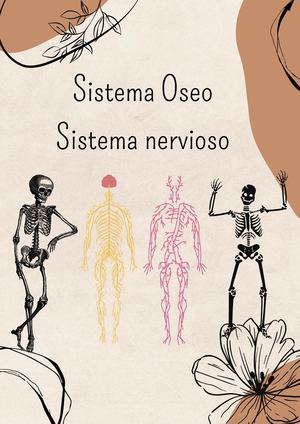 Cartilla Sistema Oseo, Sistema Nervioso
