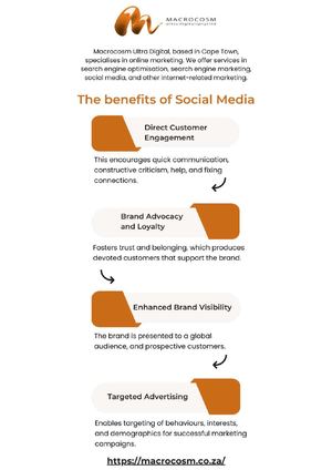 Macrocosm Infographic (March 2024)