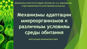 Механизмы адаптации микроорганизмов к различным условиям среды обитания