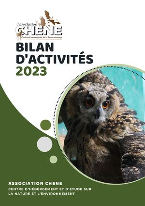 Bilan d'activité 2023