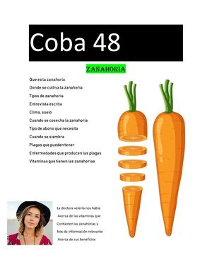 Revista digital de la zanahoria