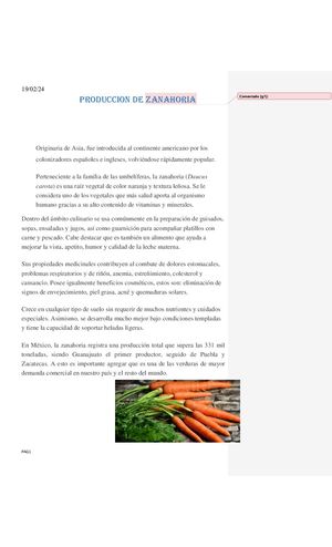 produccion de zanahoria