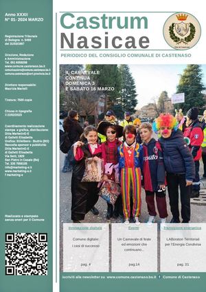 Castrum Nasicae 01
