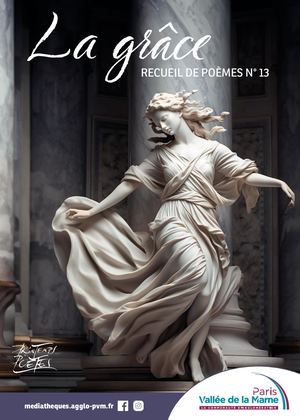 Recueil de Poèmes - n°13