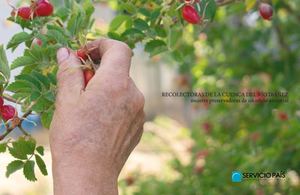 Comité de Recolectoras Las Collalas Puerto Río Ibáñez
