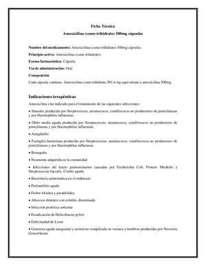 Ficha Técnica Amoxicilina