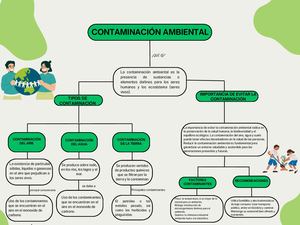 Mapa Conceptual Contaminación Ambiental