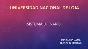 Riñones, Ureteres, Glándulas