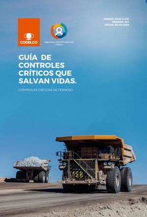 Sigo G 012 Controles Crítico Que Salvan Vida