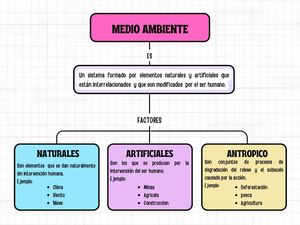 Mapa Conceptual Del Medio Ambiente Primer Grado