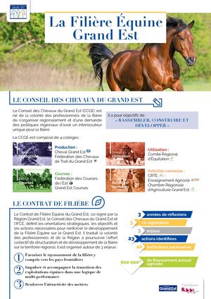 Calaméo - Les chiffres de la filière équine Grand Est