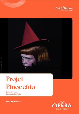 PROGRAMME DE SALLE - PROJET PINOCCHIO