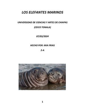 Los Elefantes Marinos Mia Canel Frias 2a
