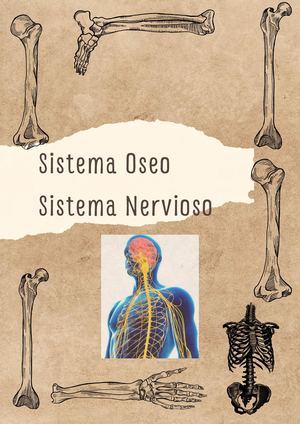 Sistema Nervioso