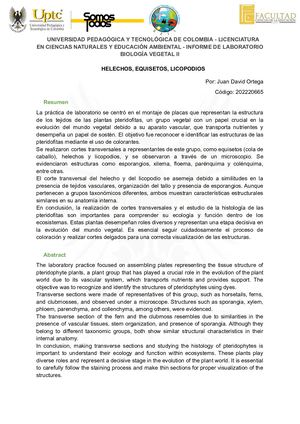 Informe Pteridofitas