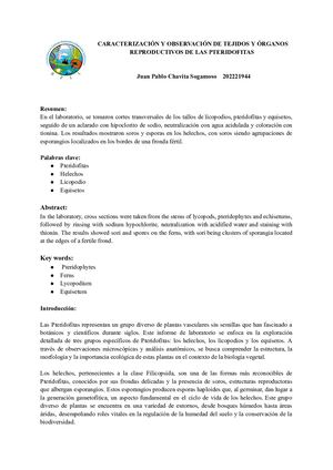 Caracterización Y Observación De Tejidos Y ÓRganos Reproductivos De Las Pteridofitas