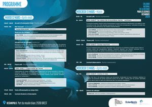 Programme Colloque Dso2024 Inscription