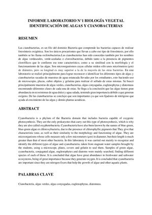 Informe Laboratorio N°1 Biología Vegetal (1) (1)