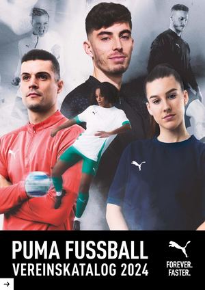 Puma Teamsport Katalog 2024