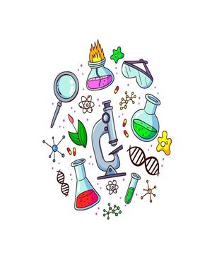 Informe Magnitudes Física Rr