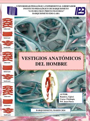 Revista Huesos Esponjosos Y Tejido Muscular Upel