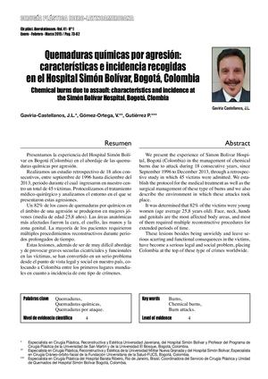 Articulo Quemaduras Agente Quimico