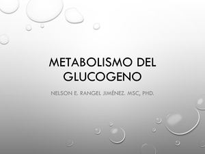 Metabolismo Glucogeno