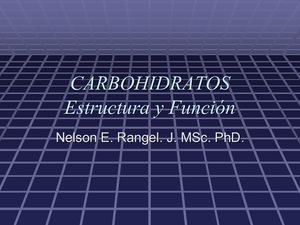 Carbohidratos (1)