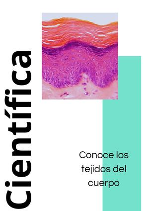 REVISTA TEJIDOS DEL CUERPO