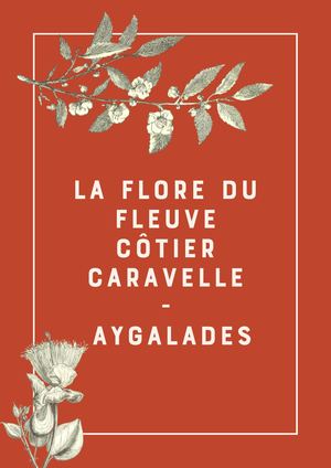 La Flore Du Ruisseau Des Aygalades