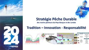 Stratégie Pêche Durable des marins pêcheurs du Pays Basque  : et des Landes Tradition – Innovation - Responsabilité  / Nicolas Susperregui