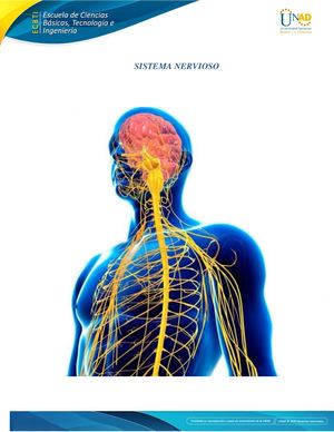 Sistema nervioso