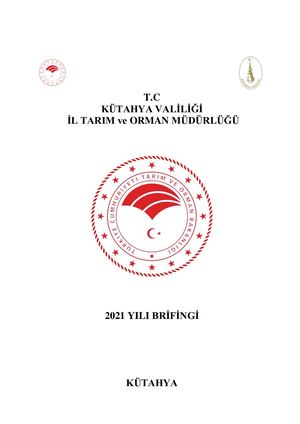 Brifing Raporu 2021 A Raporu 2021 2
