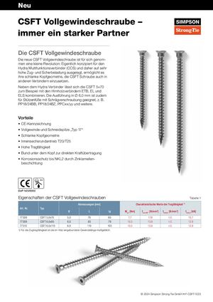 Flyer CSFT Vollgewindeschraube