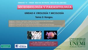 Unidad 4 Tema 3 Hongos
