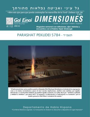 Dimensiones Pekudei 5784 Edición 110