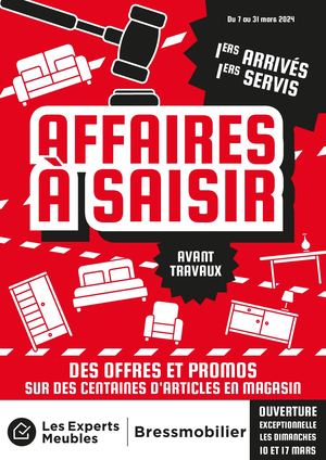 2024-03-18 Bressmobilier Affaires A Saisir