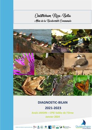 Rapport Bilan Abc 2021 2023