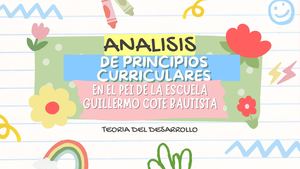 Proyecto pedagógico con relación a los principios del currículo