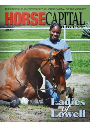 John Deere 3036e Manual Pdf