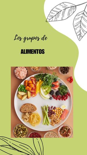 Revista Los Grupos De Alimentos