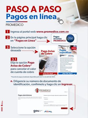Instructivo Pagos En Linea