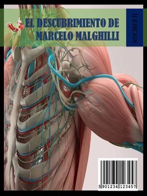 Histiologia De La Fibra Muscular (3)